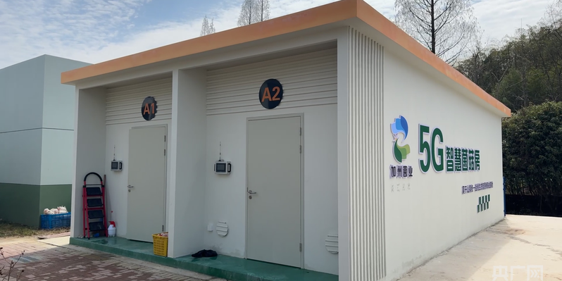 高质量发展看中国丨小菇房有大智慧 牵出共富大产业